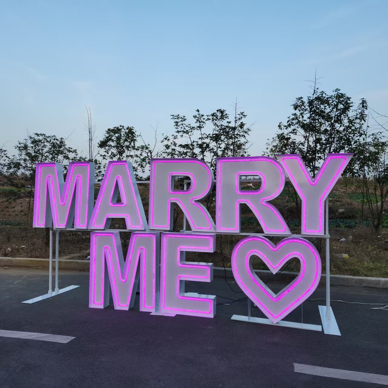MARRY ME Metal RGB LED Neon Si - đánh giá và giá Wedding Party Supply Rentals