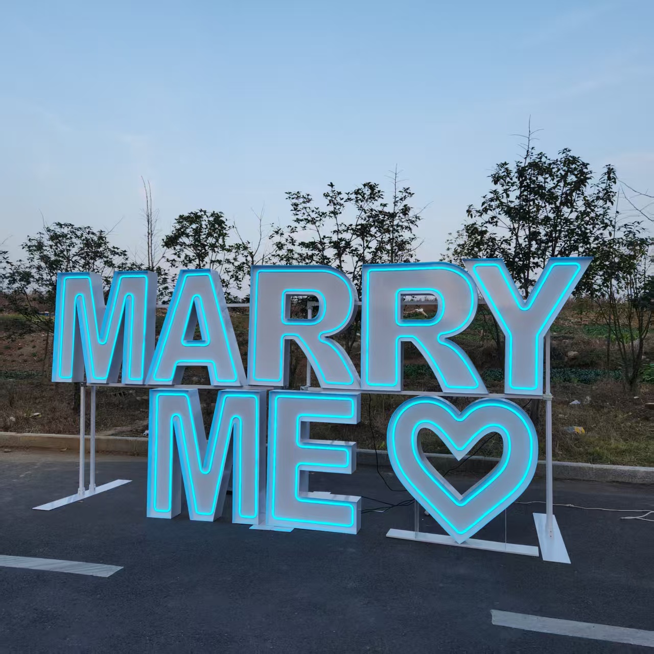 MARRY ME Metal RGB LED Neon Si - đánh giá và giá Wedding Party Supply Rentals